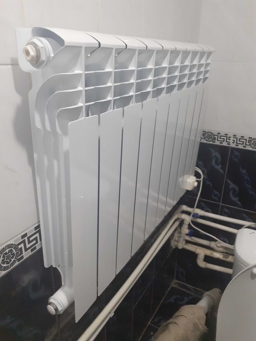 Tenli qovurg'a sifatli sotiladi