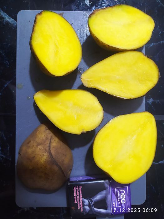 Картофель тендерный