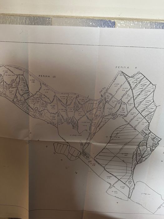 Vand Afacere Ferma zona rasova constanta plantatie bio 107 ha