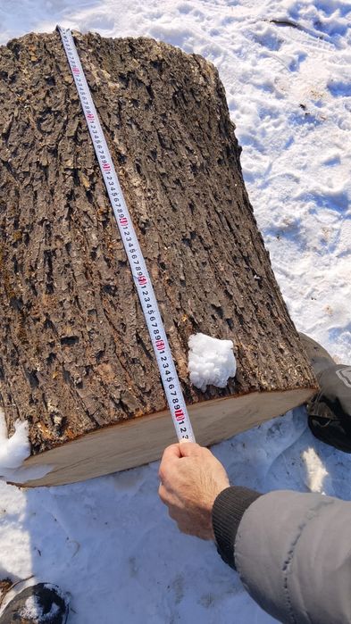 Продам чурбак карагача