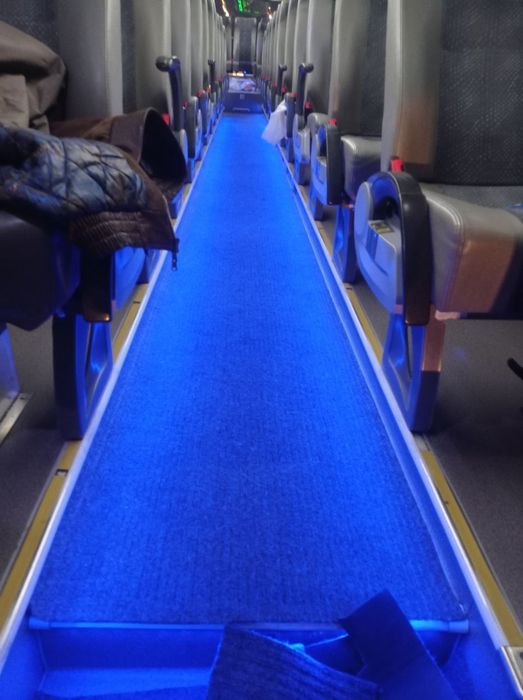 Зонгтонг сотилади