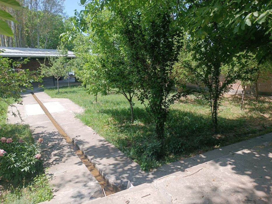 Продается дача 12 соток на берегу Карасу, Кавардан, Янгибазар