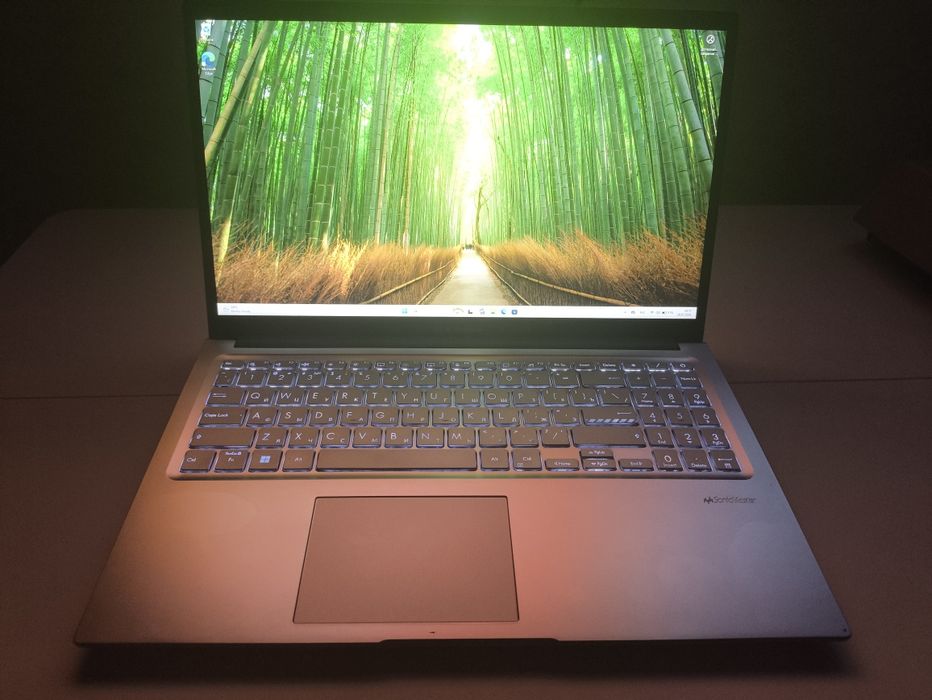 ASUS Vivobook M1502YA