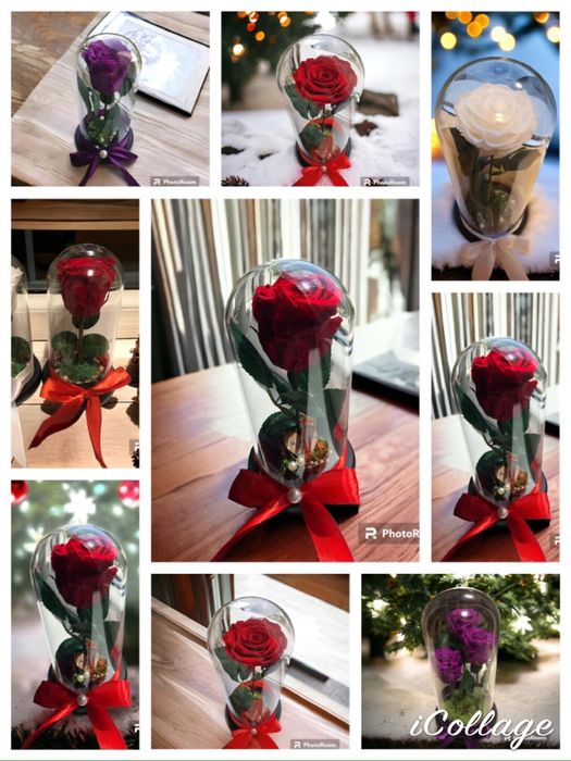 Cadou trandafir criogenat in cupola