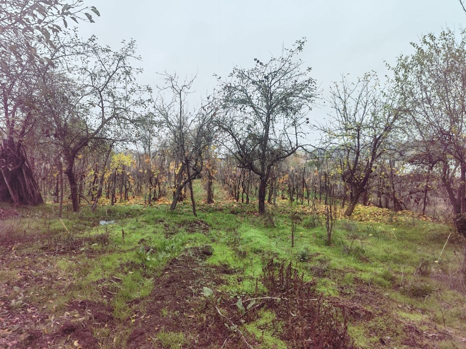 Casă de vânzare – casă de vacanță, comuna Orlești, jud. Vâlcea