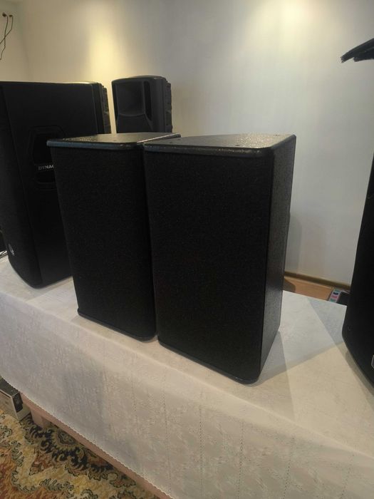 Boxe pasive P-audio 10"