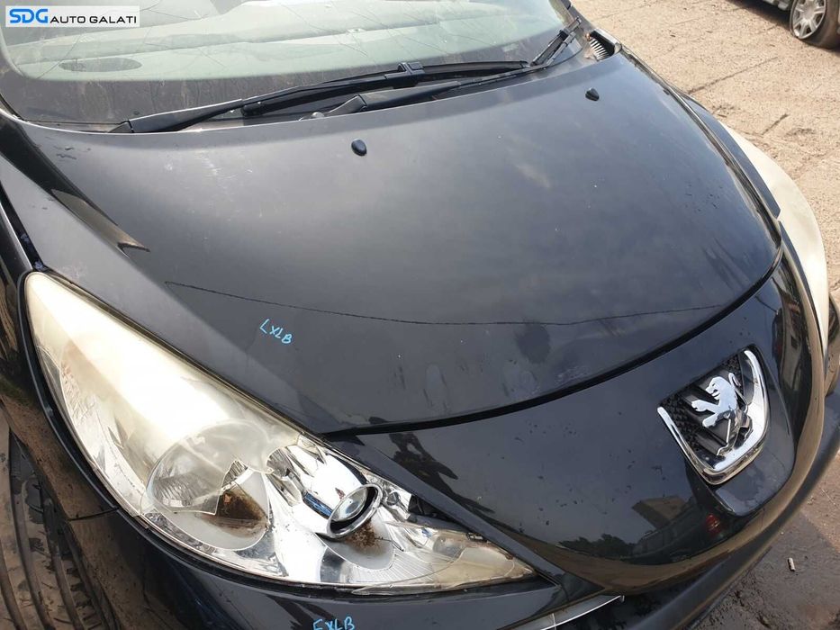 Capota Motor Peugeot 207 2006 - 2014 Culoare EXLB [L0197]