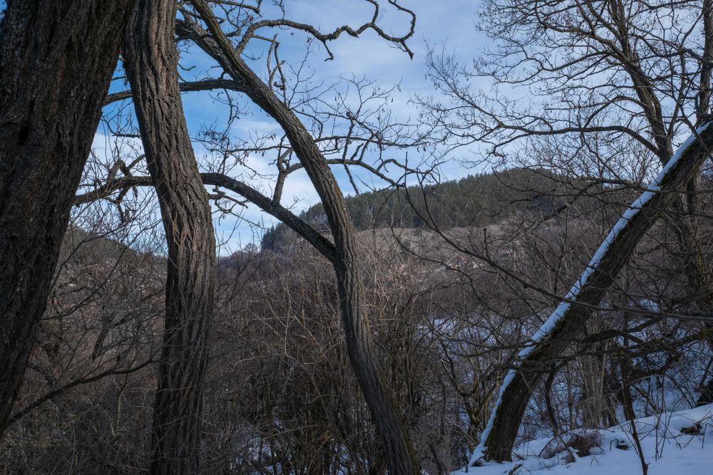 Продава се Парцел в Брезник - 4000 кв.м за 8 €/кв.м - Снимка #13