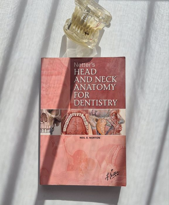 Netter - Head and neck anatomy for dentistry
