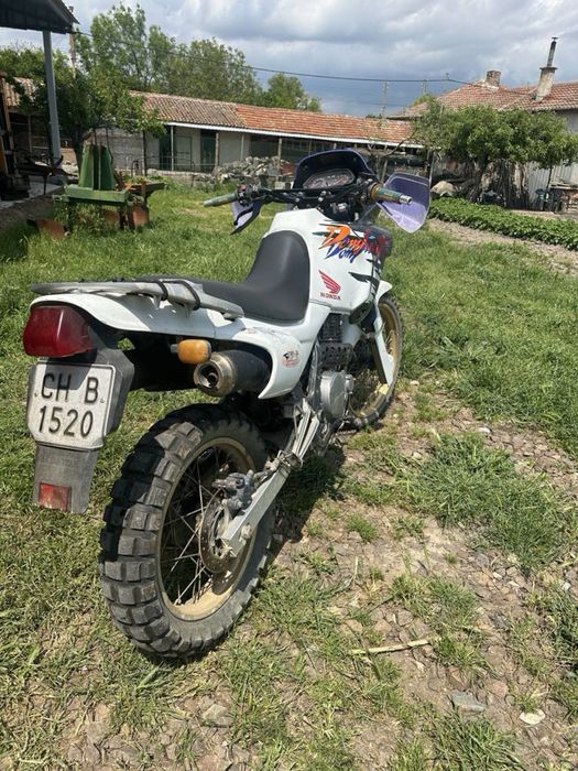 Honda dominator NX650