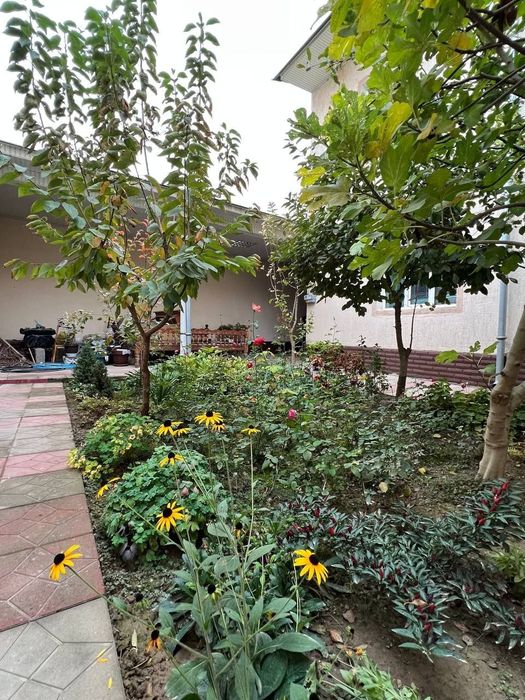 Продается  дом 2.4 сотки, Юнус Абадский район, рядом с плов центром