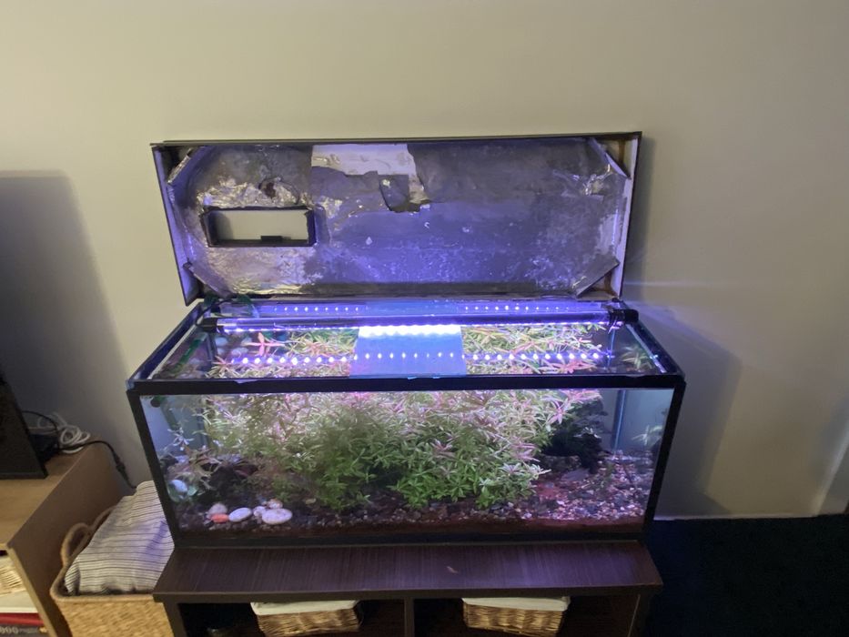 Acvariu 120 litrii cu mobila