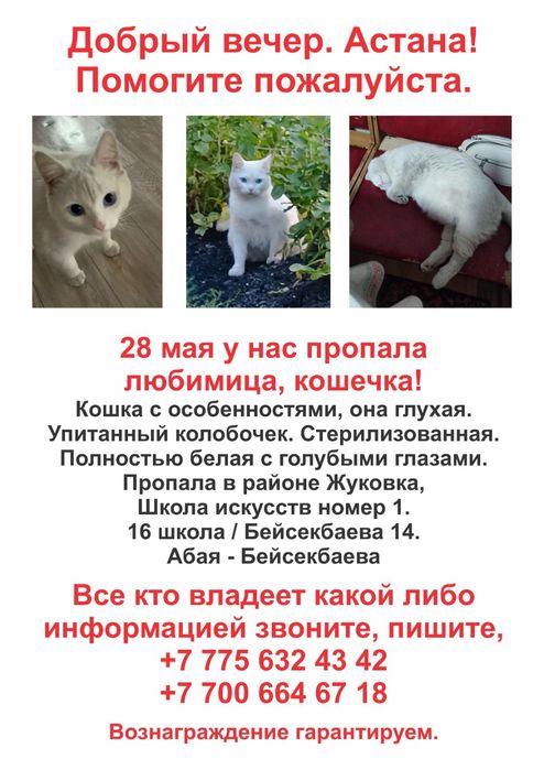 Всем Здравствуйте. Астана.