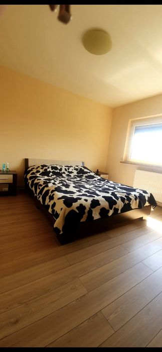 Apartament cu 3 camere Torontalului- proprietar