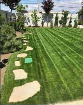 Gazon Rulou Si Insamantare