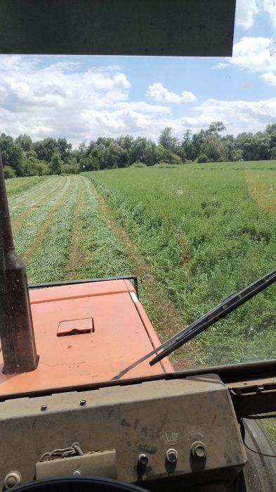 Vând baloti de lucernă