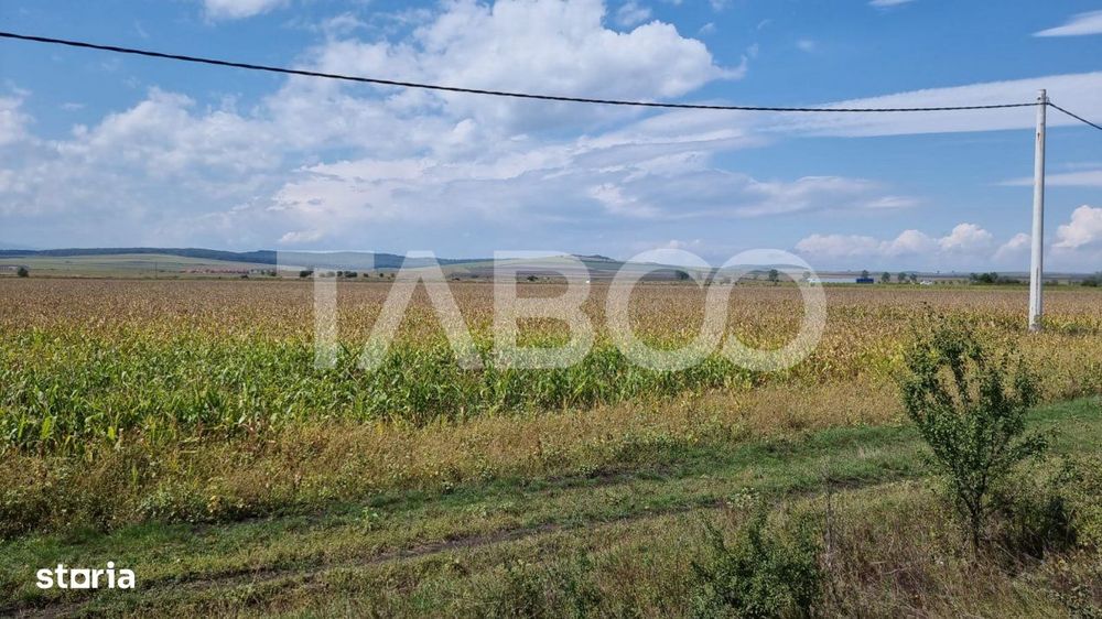 Oportunitate investitie Comision 0%  28000 mp in Sura Mica Sibiu