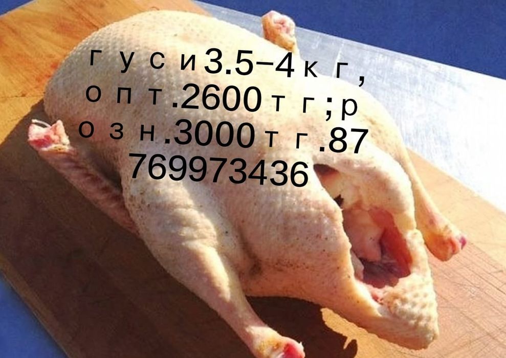 Продам гусей по 2600 за килограмм