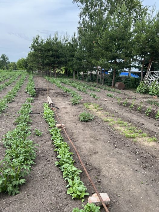 Продам дом в Бобровке