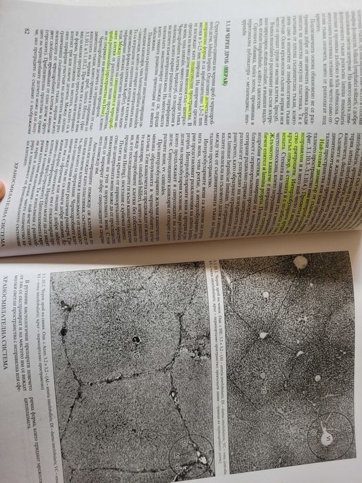 Атлас по цитология и хистология