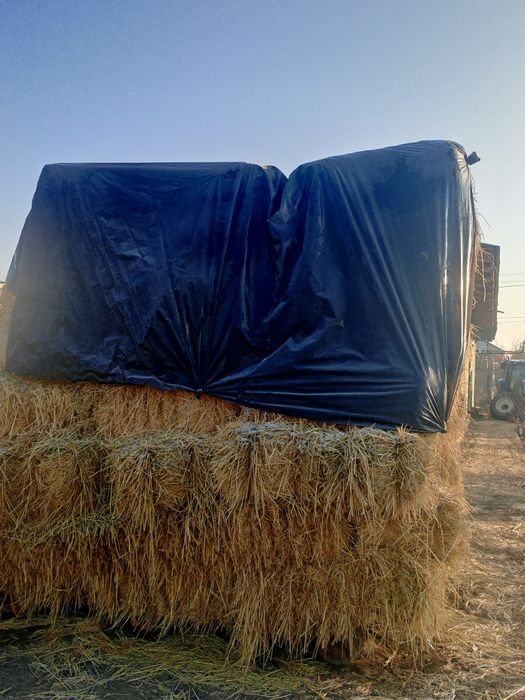 Шоли прес сотилади