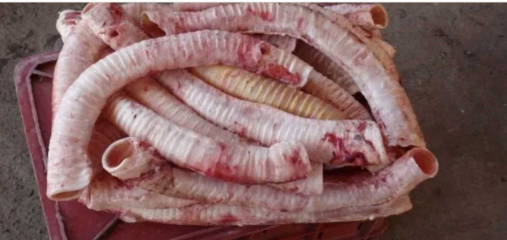 Говяжий сбой для собак