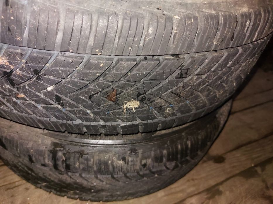 Vând cauciucuri 175/65/14       (Iarnă)