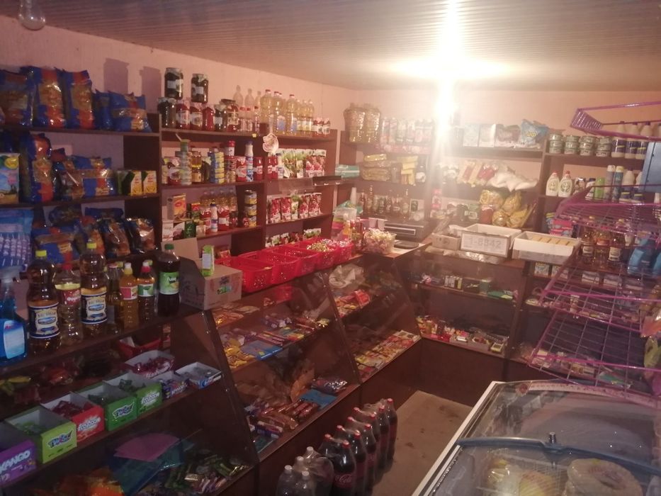 Дом с бизнесом на Кайнар Булак