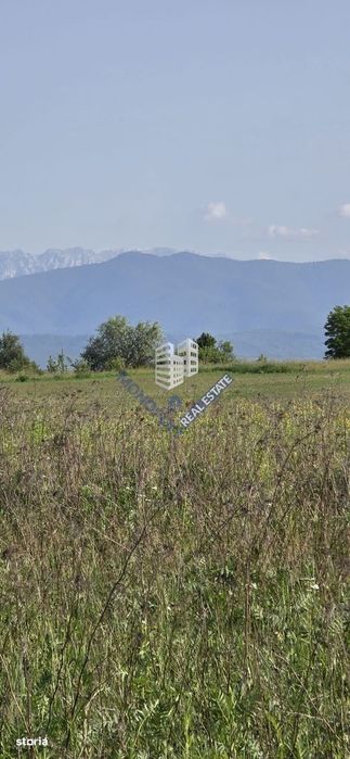 Loturi pentru construcție case