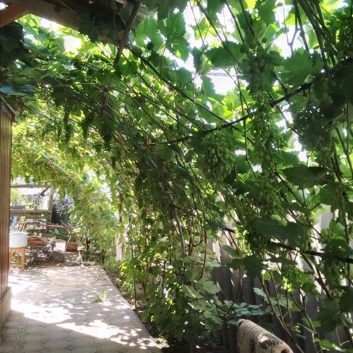 Продам 3 комн. добротный дом