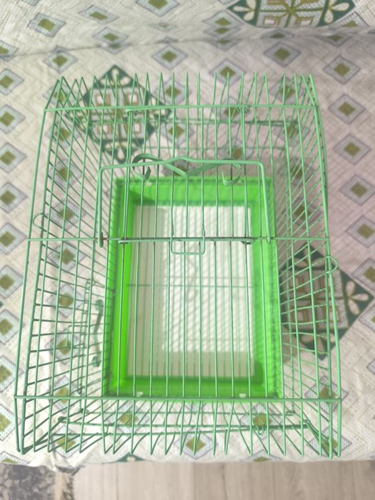 Зелёная птичья клетка