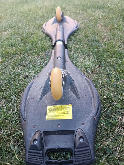 Waveboard/Snakeboard