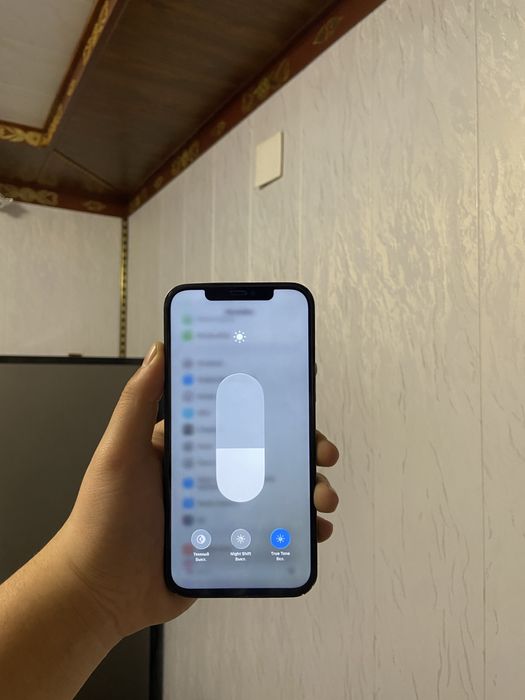 Iphone 12 Pro Max 256