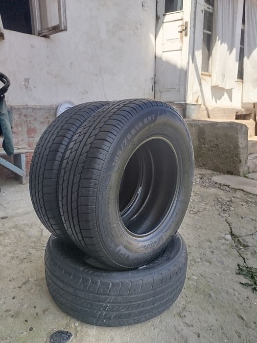 Чампирио Champirio 185.75.R14 балонлар сотилади