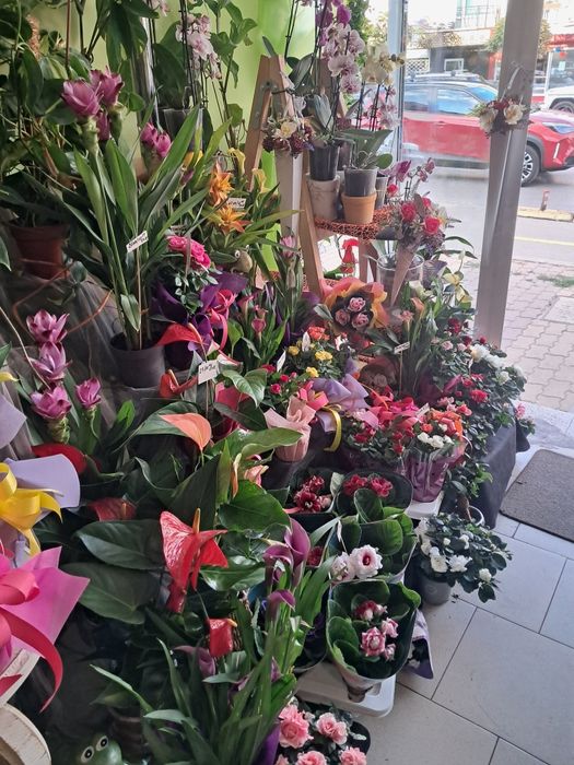 Дава се под наем Магазин в София, Република - 18 кв.м за 2550 € - Снимка #7