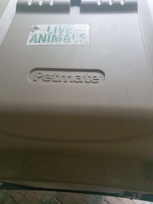 Авиабокс для собак