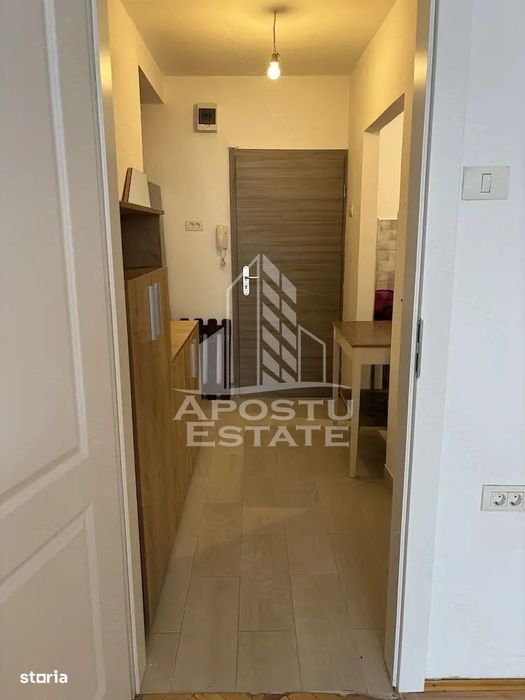 Piata Balcescu Timisoara, apartament cu o camera