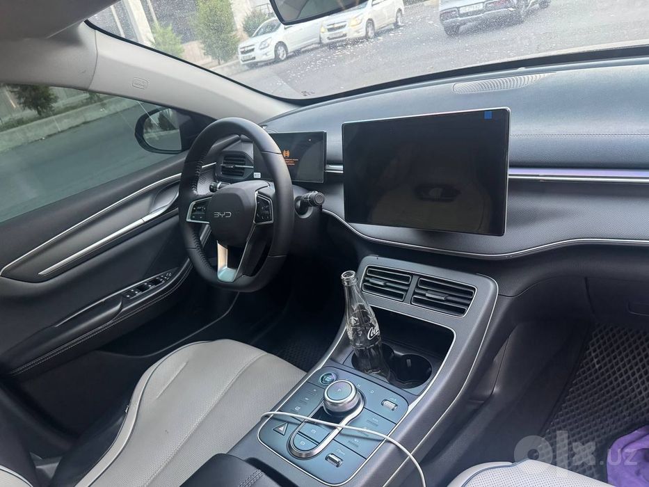 BYD Chazor 2024 g