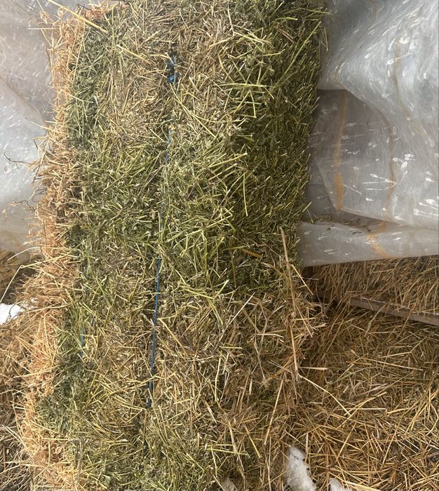 Baloti de trifoi/ paie