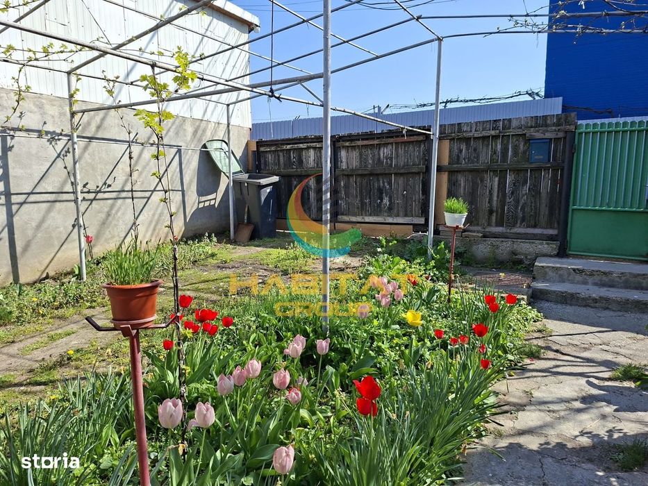 Casa 2 Camere Parter Teren 350 mp Berceni Luica