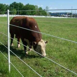 Электроизгородь ( Электропастух) Малға