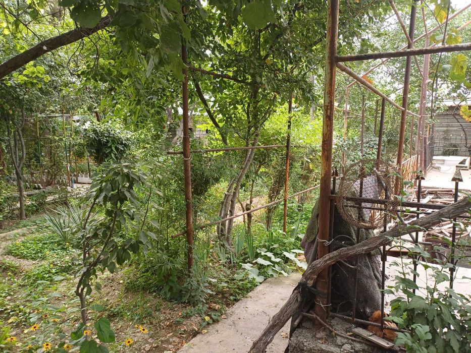 Продаётся дачный участок 6 соток