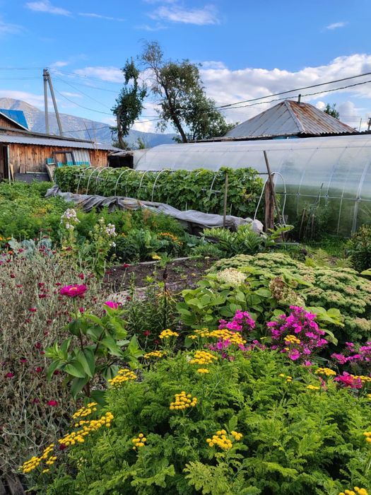 Продам уютный и теплый дом