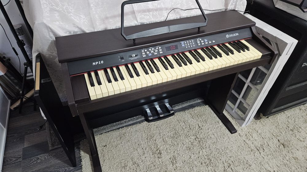 Vand Pian cu aranjor Delson NP10