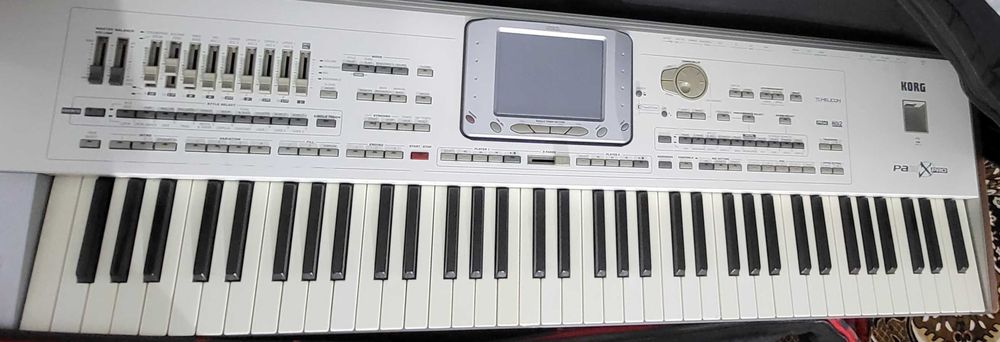 Korg Pa2xpro  256ram