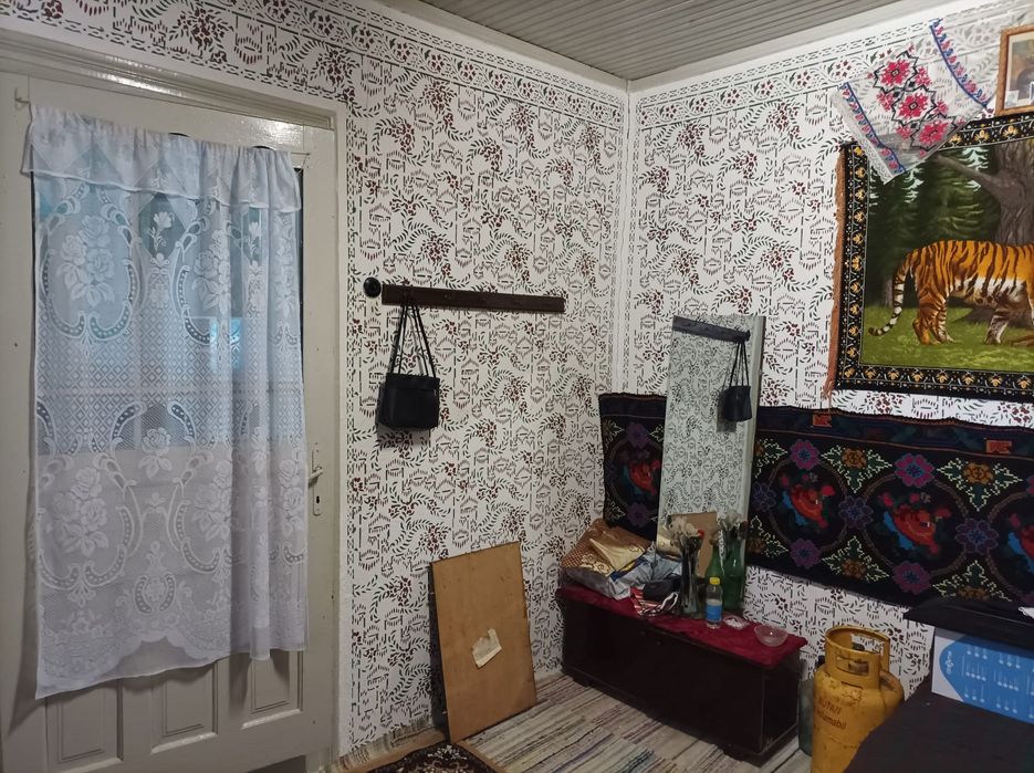 Casă bătrânească cu teren 3.500 mp, vie, pomi și utilități – ideală pe