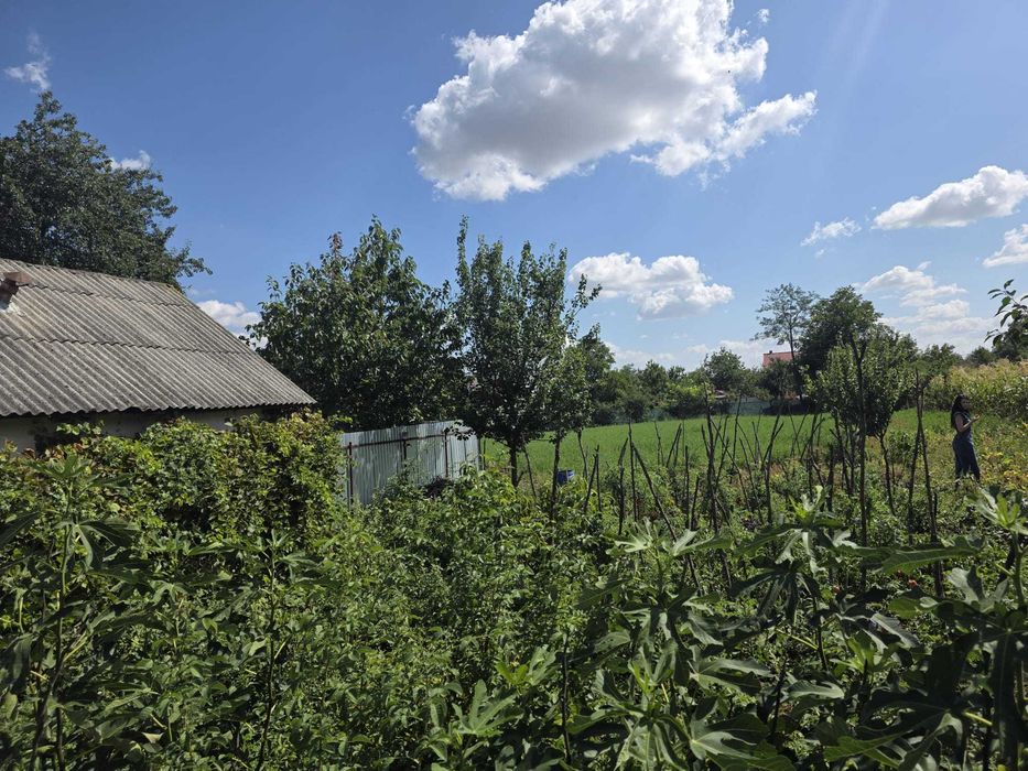 Vând casă bătrânească și teren, Cozmești, Stolniceni-Prăjescu, Iași