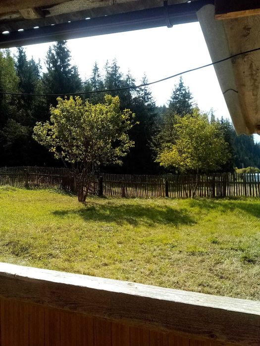 Teren intravilan in Toplita 5002mp pe str. Padureni + extravilan 1100mp (padure)