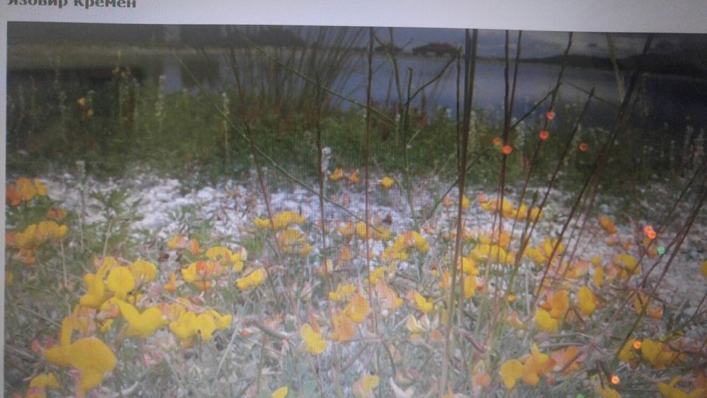 Продава се Земеделски имот в с. Кремен, Област Благоевград -  кв.м за 8334 €/дка - Снимка #1