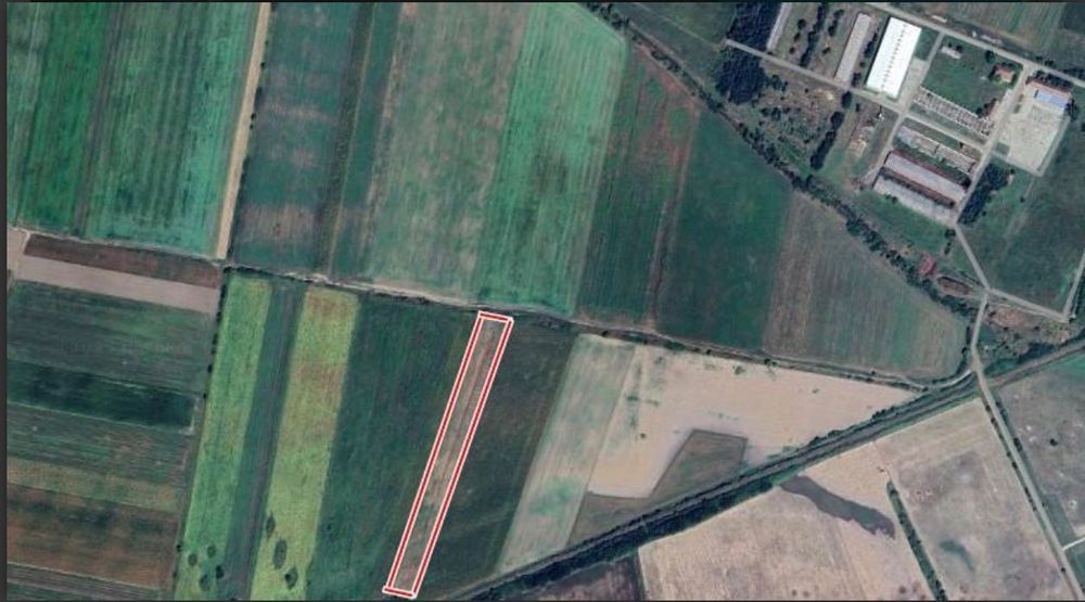 Teren extravilan Salonta 15.000mp (1,5ha)